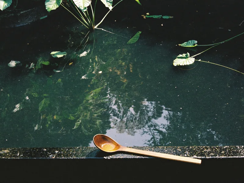 AI-generated still of a dark stone water basin reflecting green leaves, a wooden ladle on its rim
